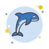 Dolphin - Orca