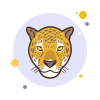 Lion - Jaguar